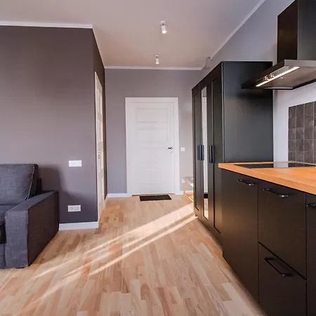 Apartment Modern In Old With A River View Riga